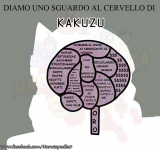 Cervello di Kakuzu 